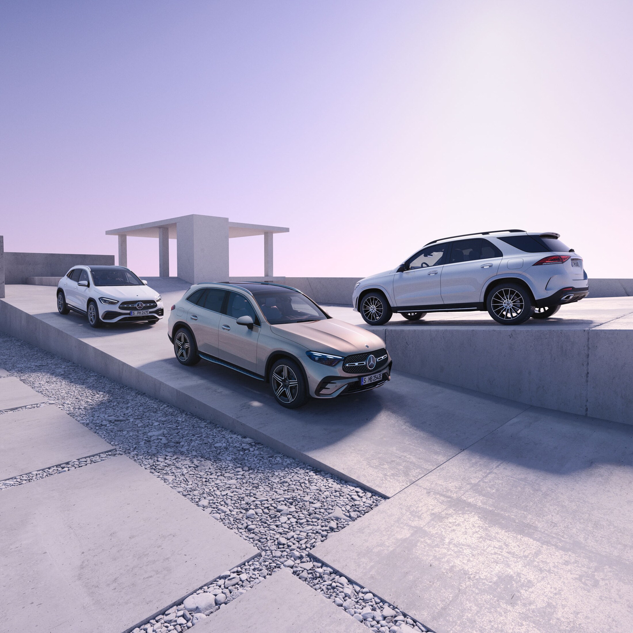 Fleet & Business